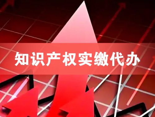 温州知识产权实缴资本代办